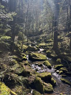 Foto da Michael Erdmann lungo il tour