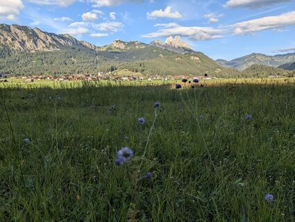 Foto de Arne Schlieder a lo largo del recorrido