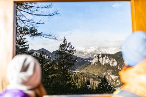 20-Schilling-Blick