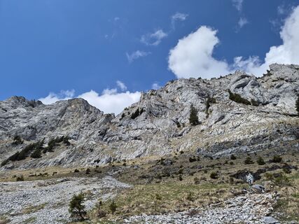 Foto von Wolfgang Wurzer 1 entlang der Tour