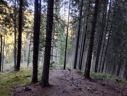 Foto de Tasurinki Mitote a lo largo del recorrido