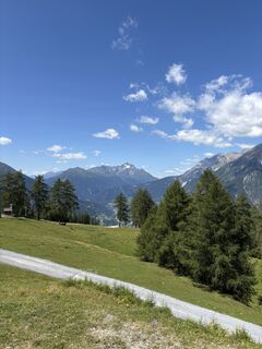 Fotografija s spletne strani Markus Weig na poti
