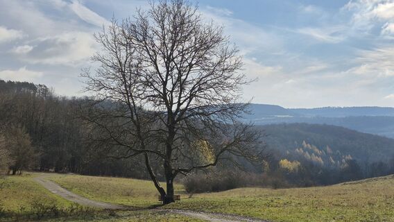 Fotografija s spletne strani Heisi na poti