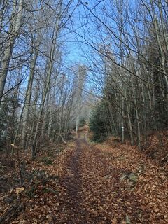 Foto de Sabine a lo largo del recorrido