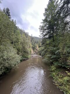 Foto de Csaba Marosi a lo largo del recorrido