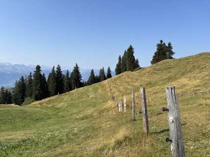 Foto von Christian Friedli entlang der Tour