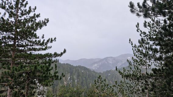 Fotografija s spletne strani EP87 na poti