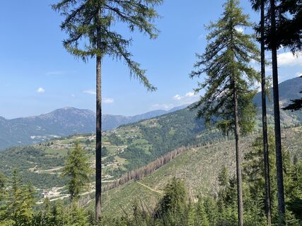 Zdjęcie z Paolo Moschen wzdłuż trasy