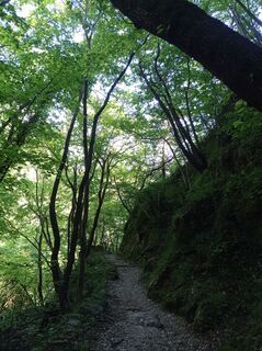 Fotografija s spletne strani Aner na poti