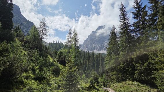Photo de FlyingRollmops le long du parcours