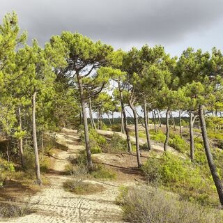 sainthilairederiez-rundkurs29