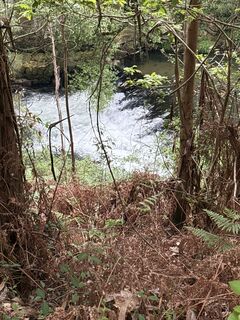 Fotografia z Helmut Schellmann na trase