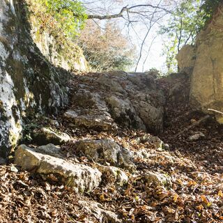 Ein Beispiel des Terrains auf dem 409B Trail
