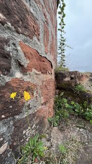 Foto de Siggi unterwegs a lo largo del recorrido