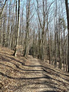 Foto von Poschacher entlang der Tour