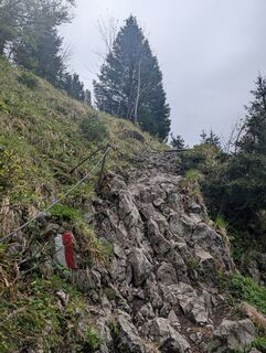 Foto von SFK entlang der Tour