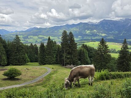 Foto von Gudrun Lippert entlang der Tour