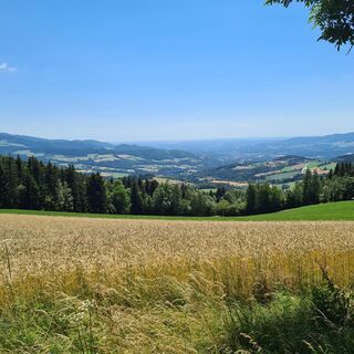 Schloffereck Aussichtspunkt_NUP Pöllauer Tal_Oststeiermark