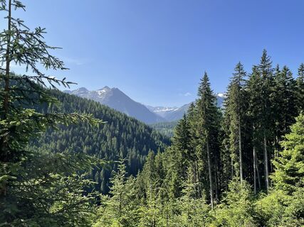 Fotografia z Ralf Umminger na trase