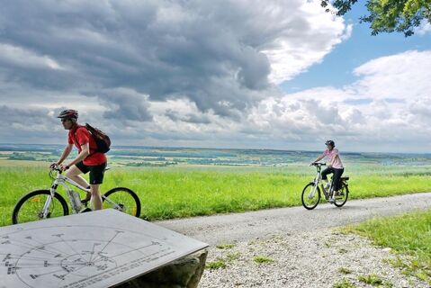 Blick auf die Vogesen