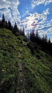 Foto von se_muck entlang der Tour