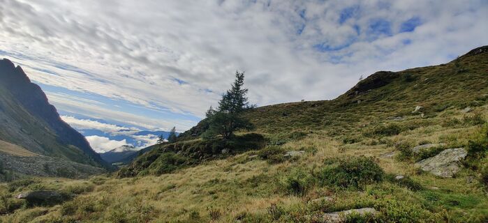 Foto von Andrea Flechl entlang der Tour
