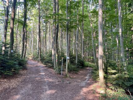 Fotó a Pfalzi honlapról a túra során