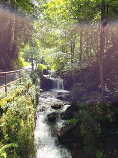 Photo de Roger Stahl le long du parcours