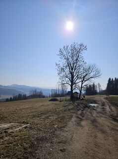 Fotografija s spletne strani Christoph Peter 2 na poti