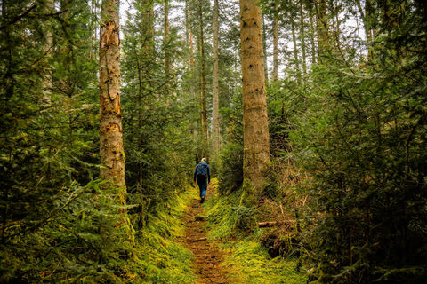 Hier wird die Tour ihrem Namen gerecht - Naturerlebnis bei Altensteig