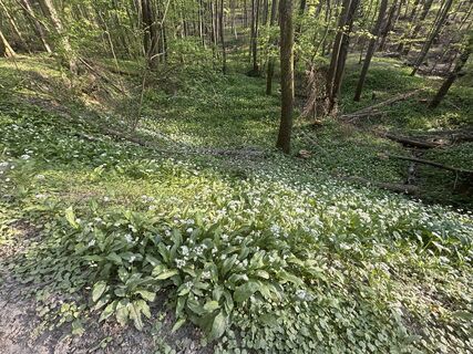 Foto de Reti Alicia a lo largo del recorrido