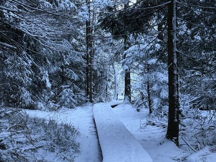 Foto de Norbert Herbig a lo largo del recorrido