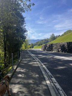 Photo de Florian Kälin le long du parcours