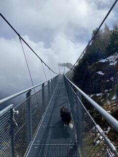 Fotografia z Florian Gerl na trase