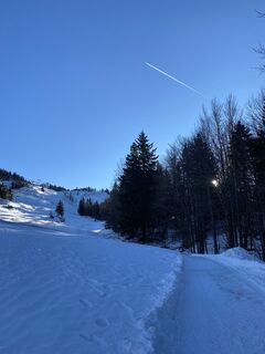 Photo de Mojca J. le long du parcours
