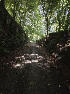 Foto de Björn Heun a lo largo del recorrido