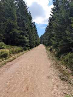 Fotografia z David Krejčí 1 na trase