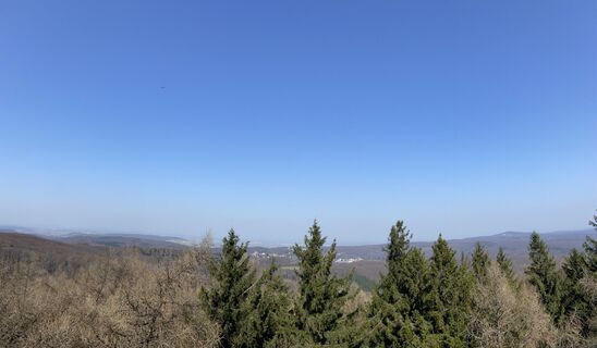 Fotografia z Ilona Varga na trase