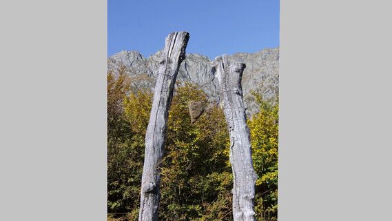Ein Kunstwerk erinnert uns daran, dass der Heilige Wald von Maggiociondolo das Herz dieser Bergflanke ist.