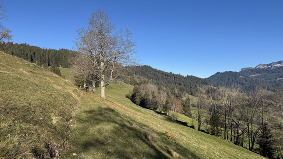 Foto von peter_oe entlang der Tour