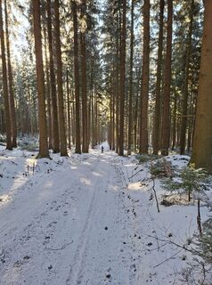 Foto von Roswitha entlang der Tour