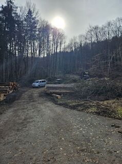 Fotografija s spletne strani rgcl na poti