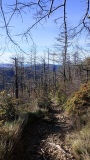 Zdjęcie z Michele Zollia wzdłuż trasy