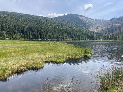 Foto von Marco Kraft entlang der Tour