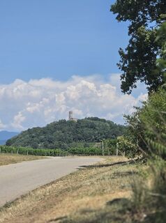 Foto von Marianne Unterrainer entlang der Tour
