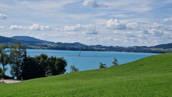 Photo de Claudia Maurer le long du parcours