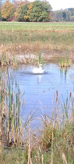Foto von Buchegger Barbara entlang der Tour
