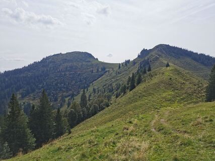 Blick zum Königskogel