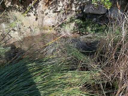 Photo de carmper le long du parcours