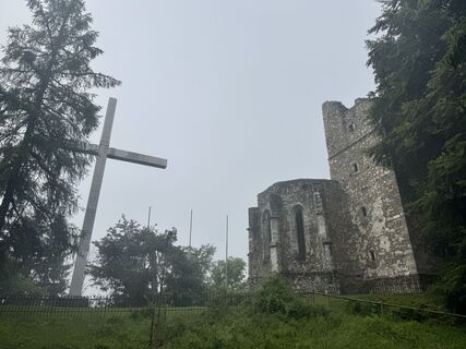 Fotografija s spletne strani Sandy na poti